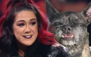 Bayley Considering Merch Collaboration with CM Punk’s Dog Larry After Rising Popularity