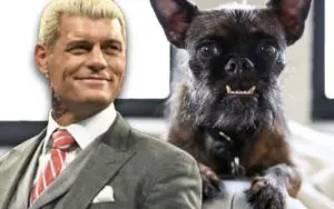Cody Rhodes Reacts to Rumors of CM Punk's Dog Larry Outselling WWE Stars in Merchandise