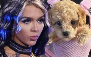Cora Jade Finds Love Again with a New Mini Poodle After Saying Goodbye to Stitch