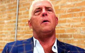 Dustin Rhodes Wants Tony Khan to Create an AEW Version of WWE ID