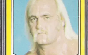 Hulk Hogan Wrestling Card Breaks Record After Selling for $132,000