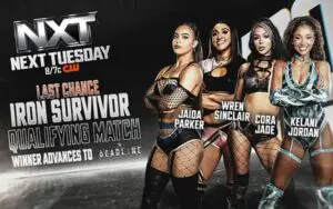 WWE NXT Preview for December 3, 2024 Preview: Confirmed Matches, Start Time and How to Watch