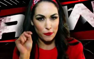 Brie Garcia Addresses Potential WWE Return After Nikki's Appearance at RAW on Netflix