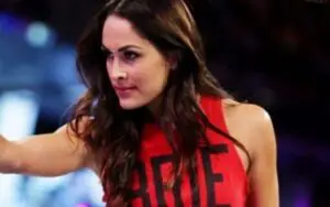 Brie Bella Could Be Returning to WWE