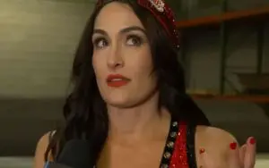 Nikki Bella Hints at Future Rivalries After Royal Rumble Appearance