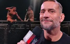 CM Punk Jokes About Only Doing Cage Matches After WWE Loss in Vienna