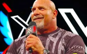 Goldberg Returns to Twitter After Nearly Five Years