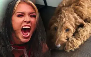 Cora Jade Says Her Dog Was Attacked in Public by Unleashed “Violent” Dog During WrestleMania Week