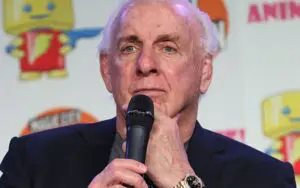 Ric Flair Called Out for Refusing to Retire and Living in the Past