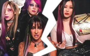Dakota Kai’s WWE Release May Be Tied to Damage CTRL’s Breakup