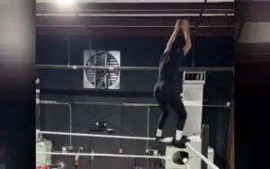 Dani Palmer Reveals Unseen Finisher After WWE Exit