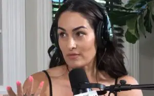 Nikki Bella Denies Lying About Divorce and Slams Public Double Standards
