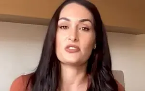 Nikki Bella Sets the Record Straight on Child Support and Divorce Settlement