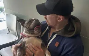 Sheamus’ Dog Betty Defeats Cancer