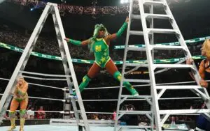 WWE Ladders May Be the Next Billboard as Sponsorships Could Take Over Money in the Bank