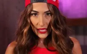 Nikki Bella Goes Off on Fans Asking If She Ever Sees Her Son