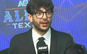 Tony Khan Reveals Why Harley Cameron Didn't Get Physical at AEW All In: Texas