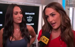 Nikki Bella Reveals What It Would Take For Her And Brie To Return To Reality TV