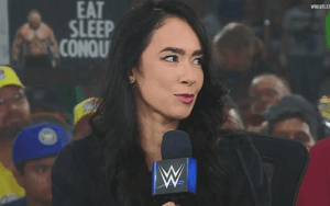 AJ Lee Comments On Her Condition After Return Match At WWE Wrestlepalooza
