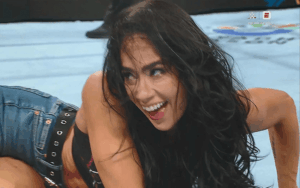 AJ Lee Makes Becky Lynch Tap Out In WWE Return Match At WrestlePalooza