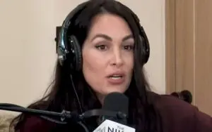 Brie Bella Regrets WWE Return After Childbirth