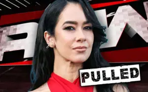 Netflix Pulls AJ Lee From WWE RAW Banner Ahead of MSG Return Episode