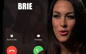 Nikki Bella Says She Was In Her Birthday Suit When Brie FaceTimed Her During Murder Mystery Party