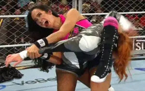 AJ Lee Makes Becky Lynch Tap Out To Win Women's WarGames Match During Survivor Series