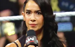 AJ Lee Questions Men Who Don’t Like Muscular Women