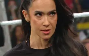 AJ Lee Targeted With Deranged ICE Threats After WWE RAW Return