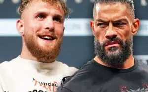 Jake Paul Claims He'd Knock Out Roman Reigns in Boxing Match