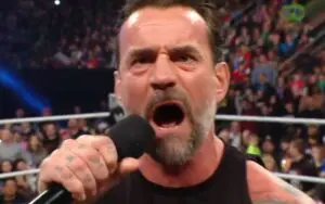 CM Punk Goes Off on Steiner Brothers After Bron Breakker Mentions AJ Lee During 12/15 WWE RAW