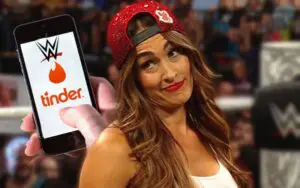 Nikki Bella Says Fan Dating Jokes Are “Out of Control”