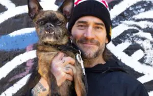 CM Punk Honors Late Dog Larry With Charity Pizza Campaign for PAWS Chicago
