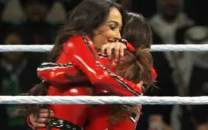 The Bella Twins Address WWE Future After Brie Bella's Royal Rumble Return