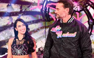 CM Punk Wants More Tag Matches With AJ Lee