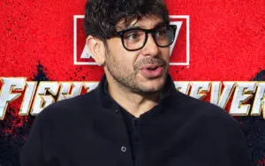 Tony Khan Addresses Future of AEW Video Games After Fight Forever