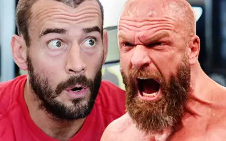 Triple H Was Ready to Beat Down CM Punk Over Stephanie McMahon Jab