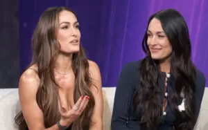 Bella Twins Name WWE Tag Teams They Want To Face