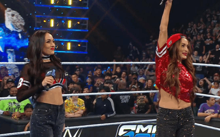 WWE Women's Tag Team Title Match Ends After Bella Twins Invade During 3/13 SmackDown