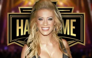 WWE’s Current Stance on Potential Ashley Massaro Hall of Fame Induction