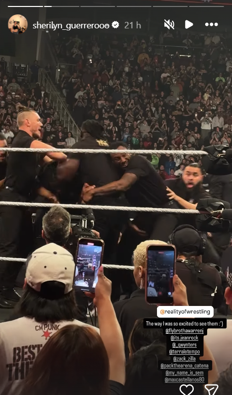 Identities of WWE RAW Security Guards During Brock Lesnar-Oba Femi Brawl Revealed