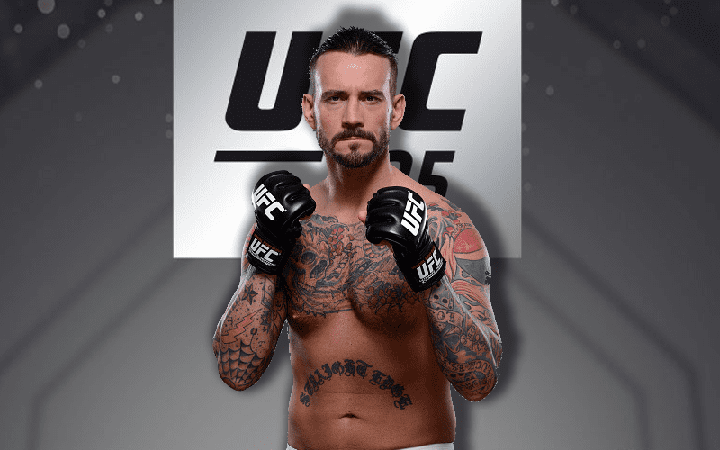 CM Punk’s UFC Fight Could Cause Problem With WWE Lawsuit
