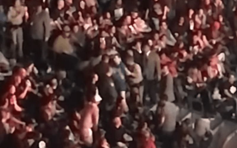 Fight Breaks Out at Elimination Chamber — Fan Arrested!