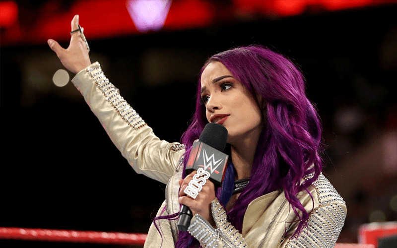 Mountain Goats Finally Reveal Tribute Song on RAW Superstar Sasha Banks