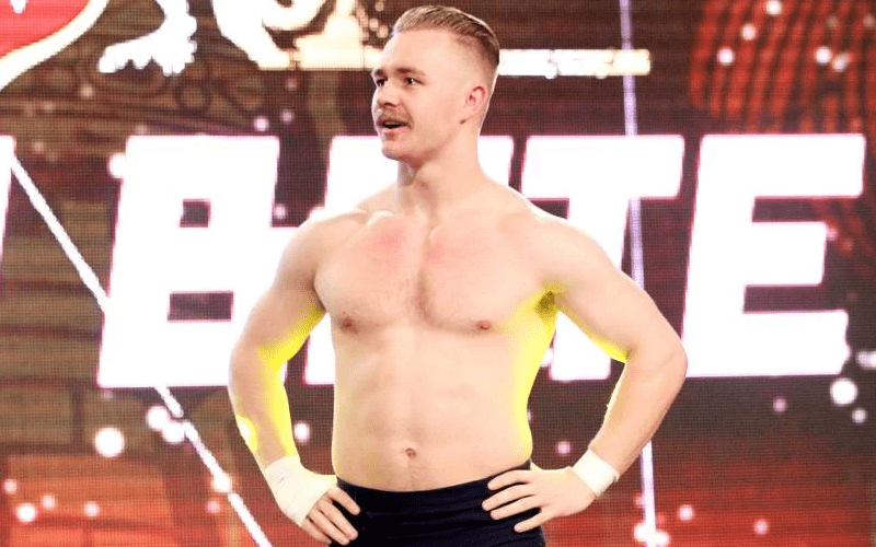 Tyler Bate Reacts to Reports of Backstage Heat on Him