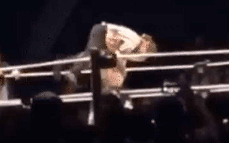 Brock Lesnar Destroys The Miz & Takes Out Referee at WWE Live Event