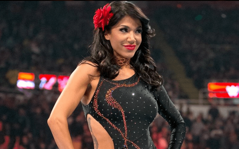 Rosa Mendes Says She Wants to Dominate The Independents Before WWE Return