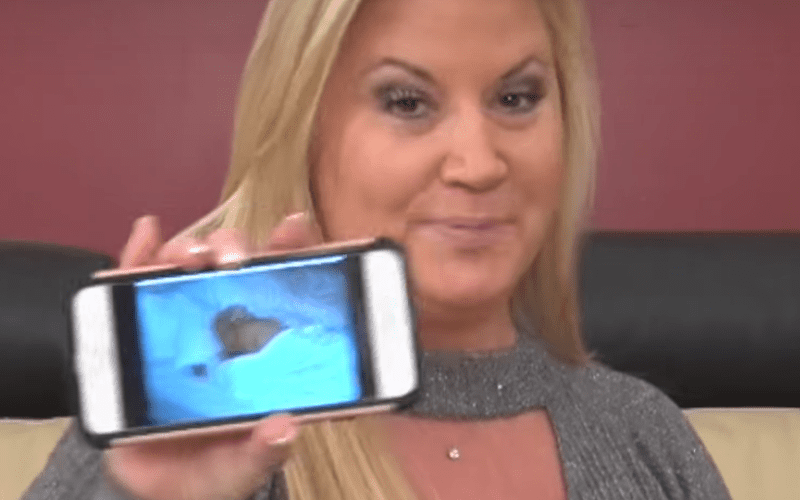 Tammy Sytch Shares Details of Her Night with Dolph Ziggler