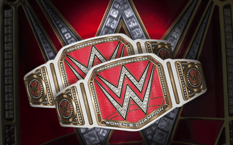Could WWE Be Introducing Women Tag Team Titles Soon?